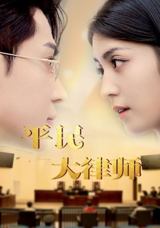平民大律师第81-95集完结(大结局)