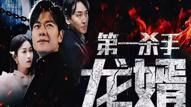 第一杀手龙婿全集(大结局)