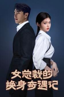 女总裁的换身奇遇记全集 (下)