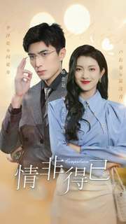 情非得已全集(大结局)