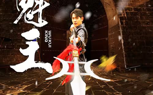 武魁王全集(大结局)