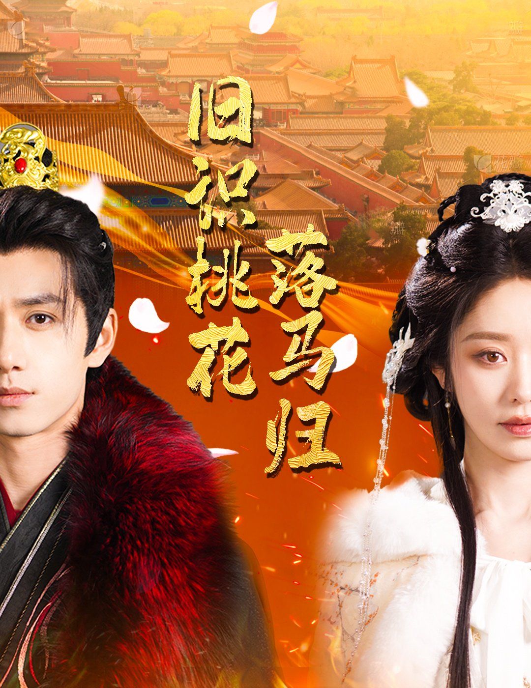 旧识桃花落马归第1-20集