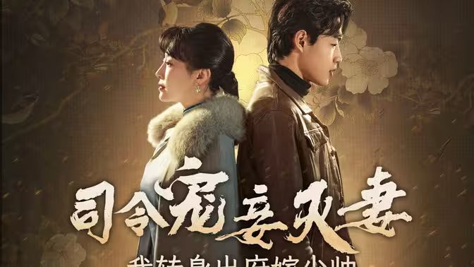 司令宠妾灭妻，我转身出府嫁少帅全集(大结局)