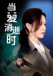 当爱消逝时第1-30集
