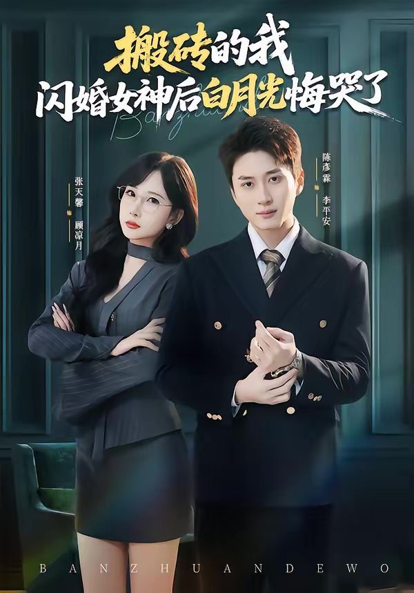 搬砖的我，闪婚女神后白月光悔哭了(全集)