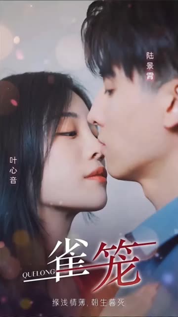 雀笼全集(大结局)