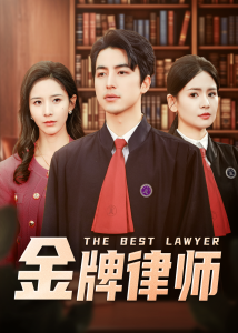 金牌律师第1-20集