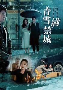 青雪满禁城第1-20集